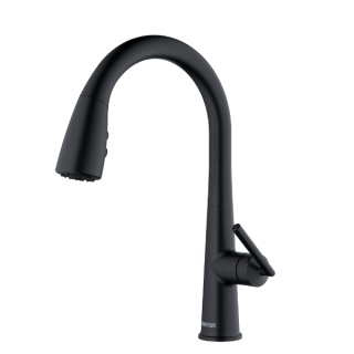 Kentland One-Handle Pull Down Dual Function Sprayer Kitchen Faucet in Matte Black